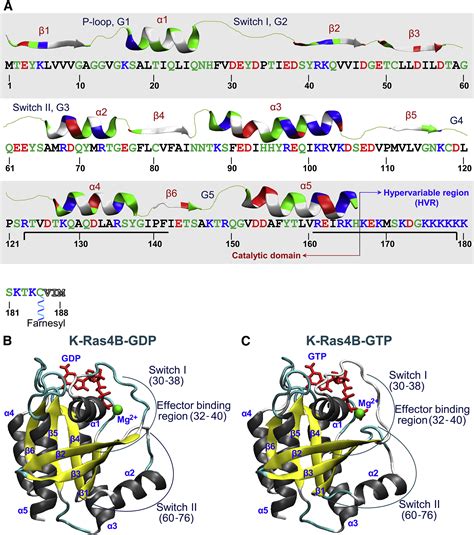 High Affinity Interaction Of The K Ras4B Hypervariable Region With The