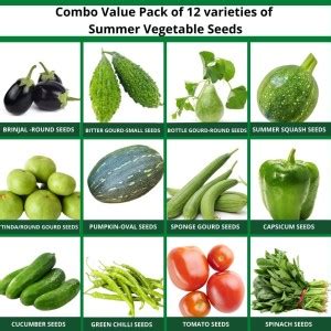 CYBEXIS Summer Vegetables Seeds Combo 12 Varieties Seed Price In India