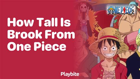 How Tall is Brook from One Piece? - Playbite