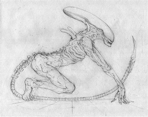 XenoMorph Drawing by BerSverk88 on DeviantArt