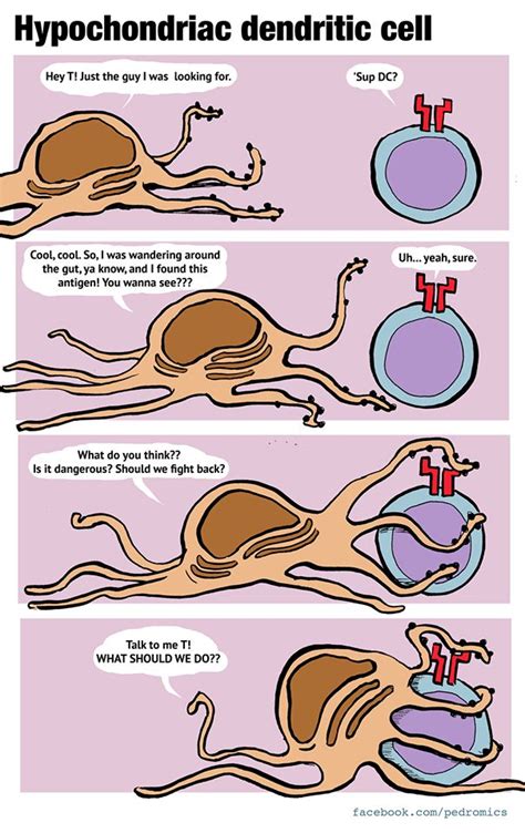 Biology Humor Biology Jokes Science Humor