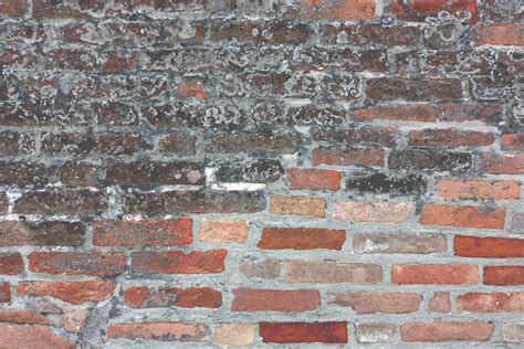 1920x1080 Bricks Brick Wall Masonry Texture Coolwallpapers Me