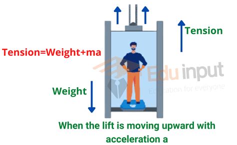 Real And Apparent Weight Definition And Example