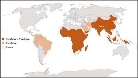 Reported Global Distributions Of P Malariae And P Ovale Spp Download Scientific Diagram