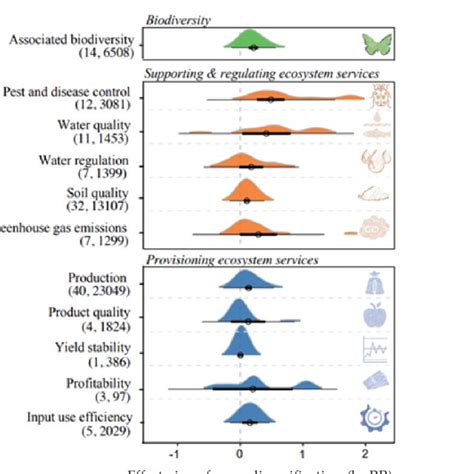 Impacts Of Crop Diversification All Strategies On Associated Download Scientific Diagram