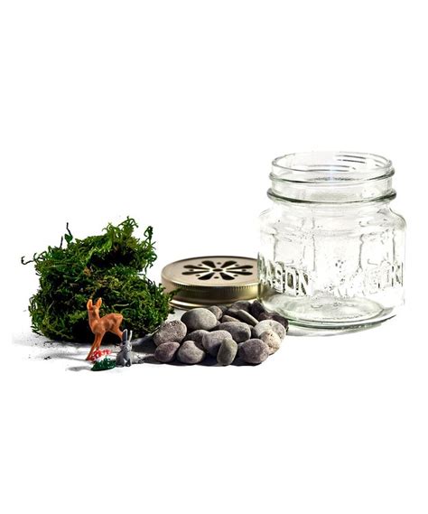 Another Great Find On Zulily Terrarium Kit By ACME Party Box Company