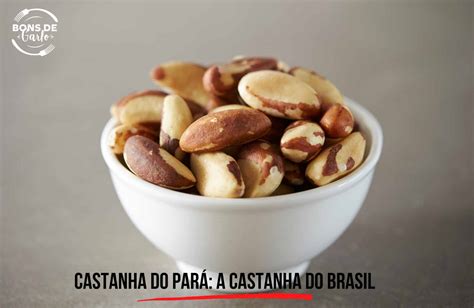 Castanha Do Par A Castanha Do Brasil