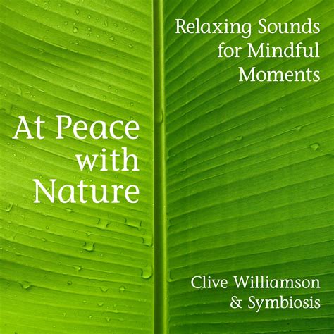 At Peace with Nature - Relaxing Sounds for Mindful Moments (128k ...