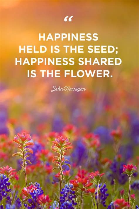 50 Inspirational Flower Quotes Cute Flower Sayings About Life And Love