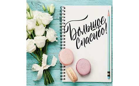 Добро пожаловать