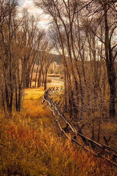 Fall Fence Line Weekly Challenge Nature Photographers Network