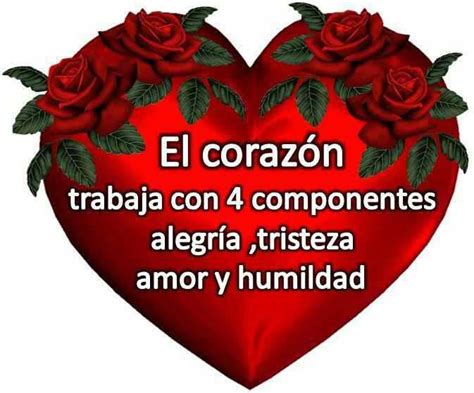 Tiernas Imagenes De Corazón Con Frases Bonitas De Amor ImÁgenes