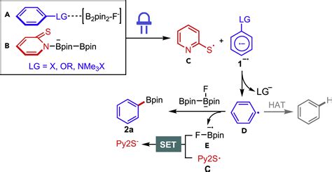 Photo Induced Thiolate Catalytic Activation Of Inert Caryl Hetero Bonds