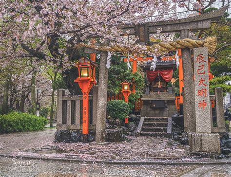 Xao xuyến trước một Phố cổ Gion yên bình nhẹ nhàng giữa lòng Kyoto