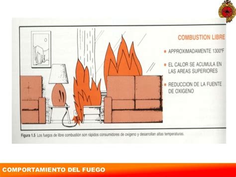 Comportamiento Fuego Copiar