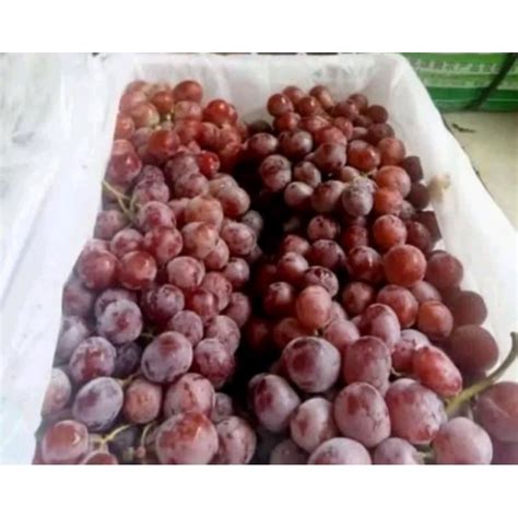 Jual Buah Anggur Red Globe Shopee Indonesia