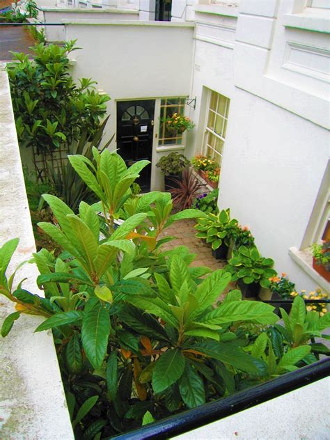 Basement Garden - Silva Landscapes Portfolio