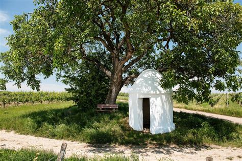 Rheinhessen Land Der Trulli Aktivit Ten Ausflugstipps Aktiv