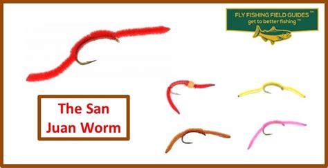 The San Juan Worm Fly Pattern - Fly Fishing Field Guides