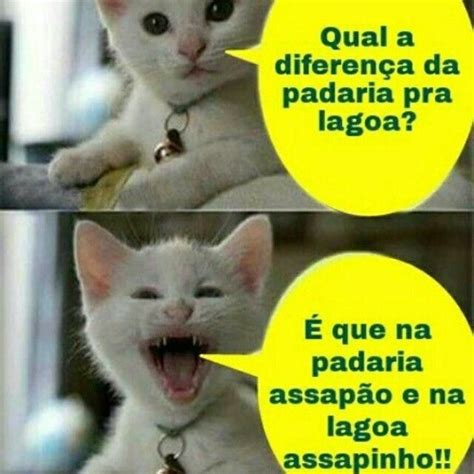 Piadas Desse Gatinho Danado Piadas Infantis Piadas Piadas Ruins