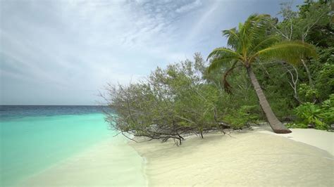 Maldives Island Beach 1623997 Stock Video at Vecteezy