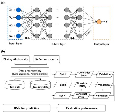 The structure of the deep neural network (DNN) (a) and the flowchart of ...