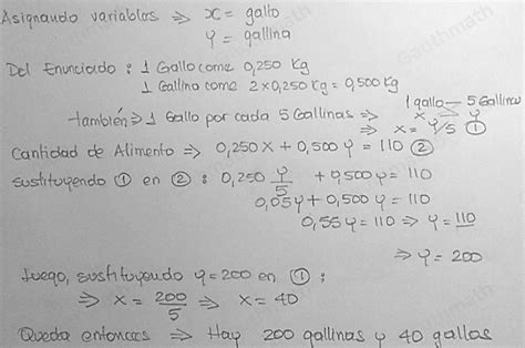 Solved Para Alimentar A Las Gallinas Y Gallos Utiliza K Algebra