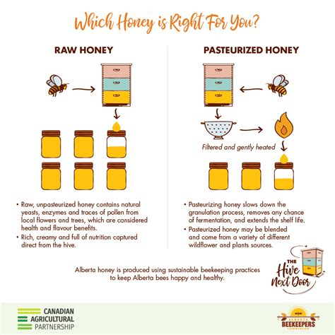 Which Honey Is Right For You Alberta Beekeepers Commission