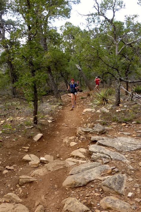 gregs running adventures cedro peak  miler