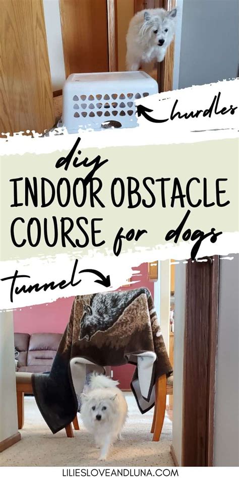 DIY Indoor Obstacle Course For Your Dog - Lilies, Love, and Luna