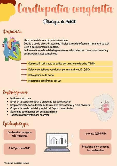 Tetralogía de Fallot El Rincón Médico uDocz