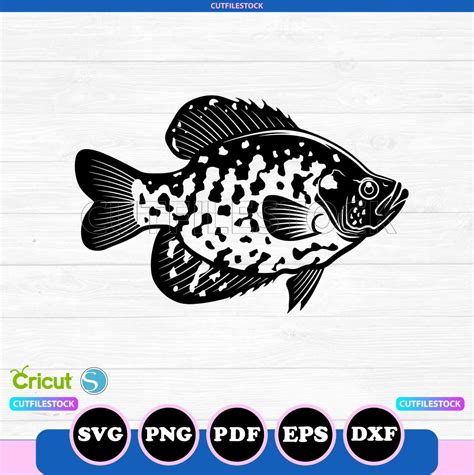 Crappie Fish Svg Png Fishing Crappie Svg Silhouette Cricut