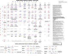 Organic Chemistry Reactions Study Chart Minga