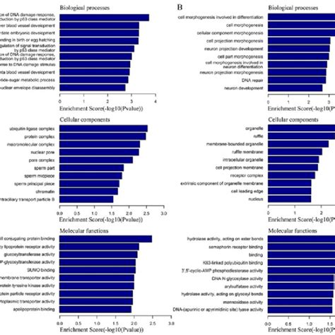 Go Enrichment Analysis A Top 10 Go Terms Of Upregulated Circrnas