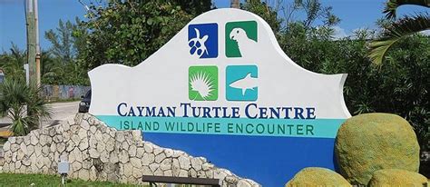 Isole Cayman Caraibi Dove Si Trovano Quando Andare E Cosa Vedere