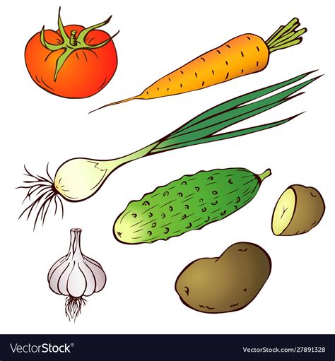 Hand Drawn Realistic Farm Vegetables Set Vector Image