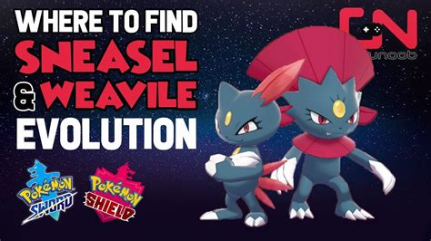 Where To Find Sneasel And How To Evolve Into Weavile Pokemon Sword And Shield Evolution Youtube