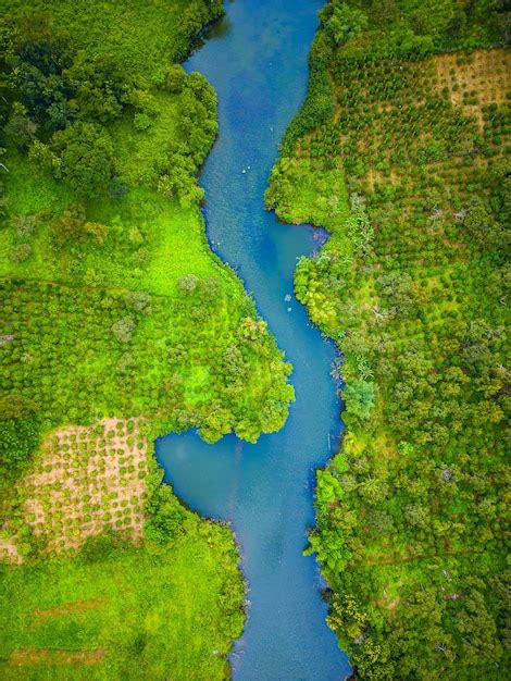 Premium Photo Aerial Landscape Of Winding Clear Blue River In Green