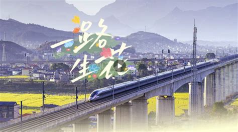 2024特别版《一路生花》