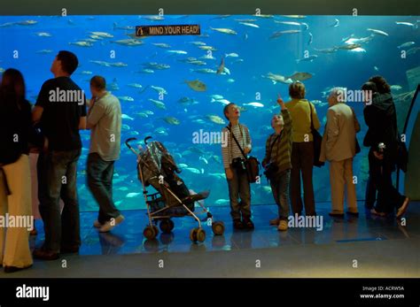 Aquarium Plymouth England Stock Photo - Alamy