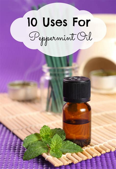 10 Uses For Peppermint Oil Motherhood Defined