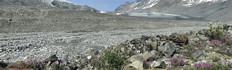 Gulkana Glacier Trail Alaska 64 Reviews Map Alltrails