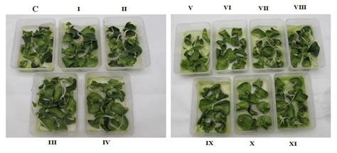 Impact Of Chemical Heterocyclic Compounds Derivatives Of Pyrimidine