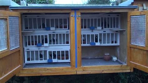 Roller Pigeons Making A Breeding Kit Box Youtube