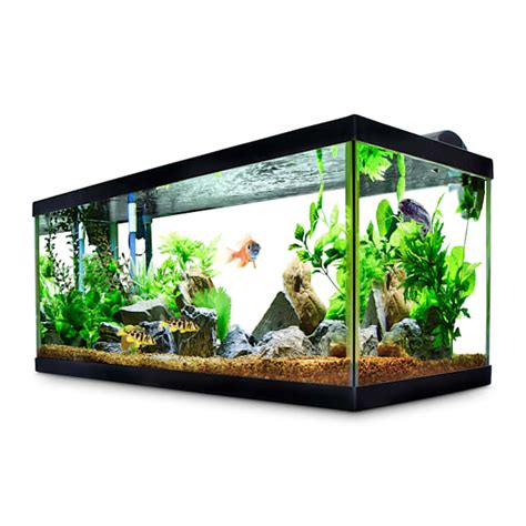 Aqueon Standard Glass Aquarium Tank 40 Gallon Breeder Petco