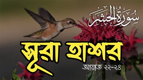 হ দয শ তল কর স র হ শর র শ ষ