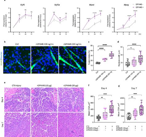 Figure From Temporal Single Cell Sequencing Analysis Reveals That