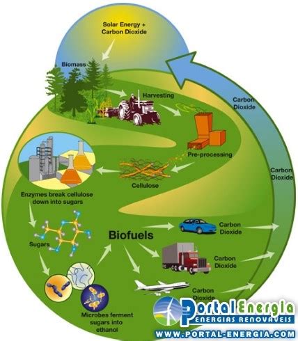 Energia Biomassa Ciclo