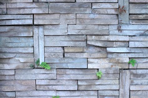 Una Pared De Piedra Con Una Planta Que Crece Fuera De Ella Foto Premium