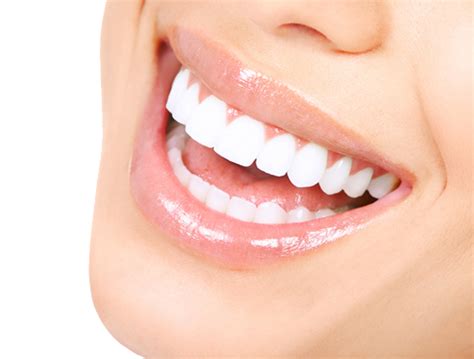 White Teeth Transparent Image Transparent HQ PNG Download | FreePNGimg